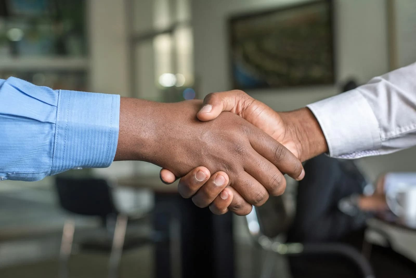 Client and consultant shaking hands